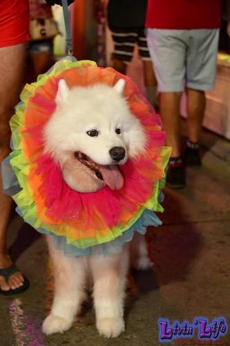 Fantasy Fest 2022 in Key West, Florida