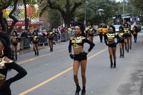 Bayport Parading Society and  Mystic DJ Riders Mardi Gras Parade