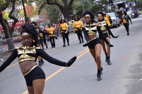 Bayport Parading Society and  Mystic DJ Riders Mardi Gras Parade