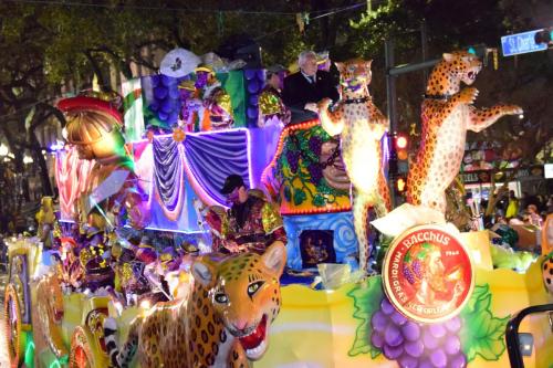 Krewe of Bacchus Parade - Mardi Gras 2018 0073