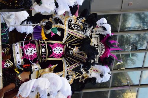Krewe of Zulu Parade during Mardi Gras