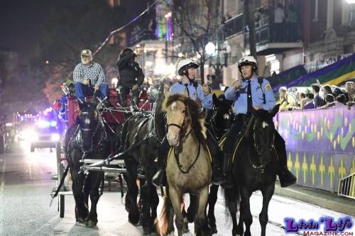 Mardi Gras in New Orleans 2019 - 094