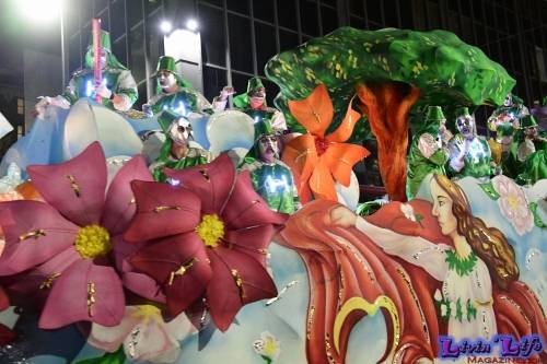 Mardi Gras in New Orleans 2019 - 148
