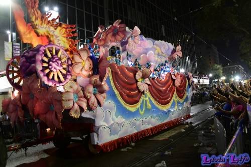Mardi Gras in New Orleans 2019 - 153