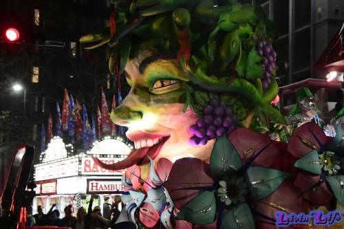 Mardi Gras in New Orleans 2019 - 161