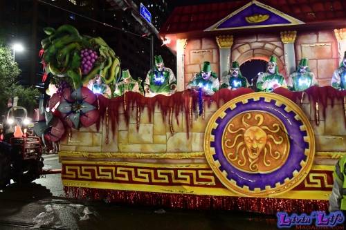 Mardi Gras in New Orleans 2019 - 162