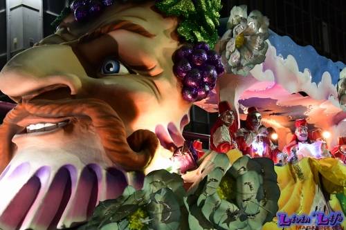 Mardi Gras in New Orleans 2019 - 178