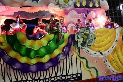 Mardi Gras in New Orleans 2019 - 179