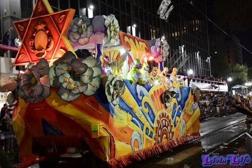 Mardi Gras in New Orleans 2019 - 188