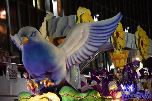 Mardi Gras in New Orleans 2019 - 191