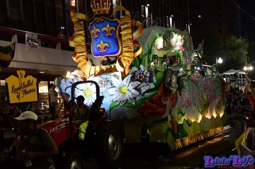 Mardi Gras in New Orleans 2019 - 193