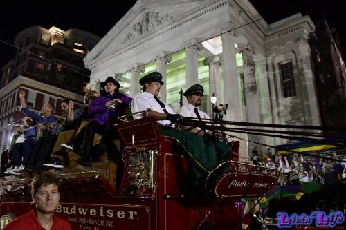 Mardi Gras in New Orleans 2019 - 199