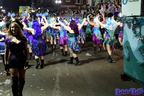 Mardi Gras in New Orleans 2019 - 263