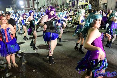 Mardi Gras in New Orleans 2019 - 268