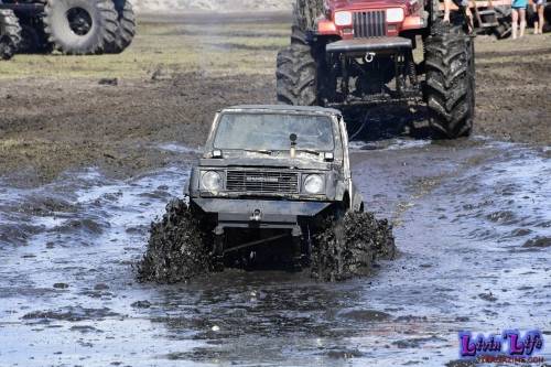 My Muddy Valentine at PlantBamboo 02-15-2019 0004 