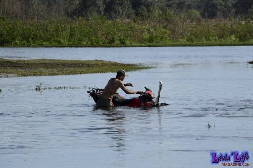 My Muddy Valentine at PlantBamboo 02-15-2019 0046 