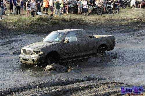 My Muddy Valentine at PlantBamboo 02-15-2019 0168 