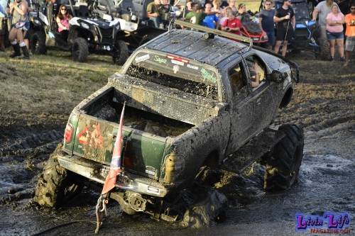 My Muddy Valentine at PlantBamboo 02-15-2019 0173 