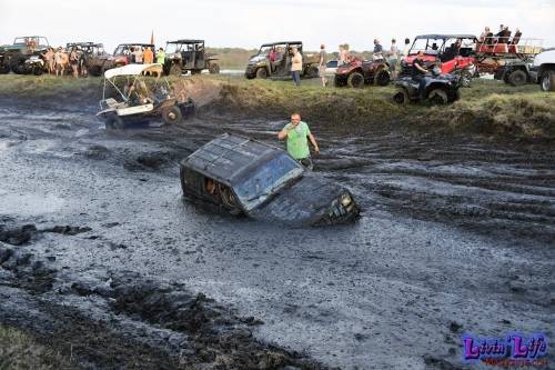 My Muddy Valentine at PlantBamboo 02-15-2019 0240 