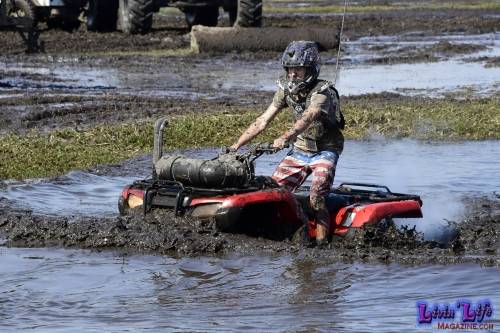 My Muddy Valentine at PlantBamboo 02-16-2019 0517 
