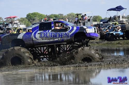 My Muddy Valentine at PlantBamboo 02-16-2019 0529 
