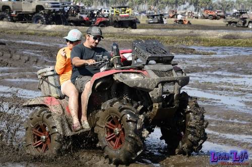 My Muddy Valentine at PlantBamboo 02-16-2019 0636 