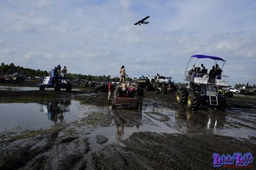 My Muddy Valentine at PlantBamboo 02-16-2019 0651 