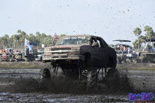 My Muddy Valentine at PlantBamboo 02-16-2019 0667 
