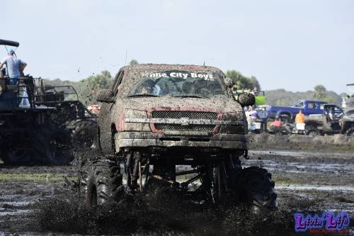 My Muddy Valentine at PlantBamboo 02-16-2019 0670 