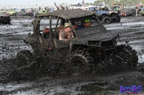 My Muddy Valentine at PlantBamboo 02-16-2019 0755 