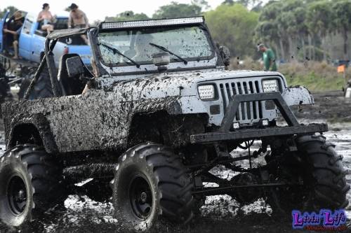 My Muddy Valentine at PlantBamboo 02-16-2019 0769 