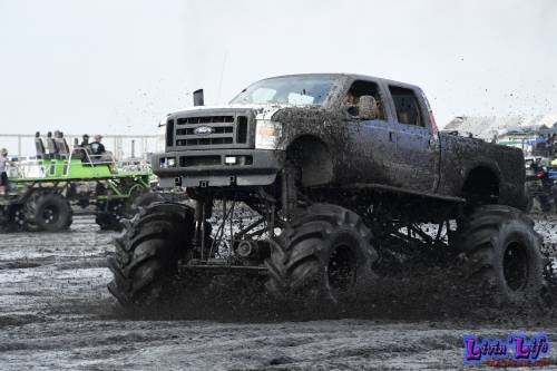 My Muddy Valentine at PlantBamboo 02-16-2019 0773 