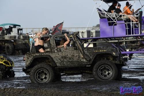 My Muddy Valentine at PlantBamboo 02-16-2019 0819 