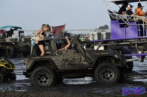 My Muddy Valentine at PlantBamboo 02-16-2019 0821 