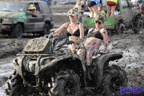 My Muddy Valentine at PlantBamboo 02-16-2019 0847 