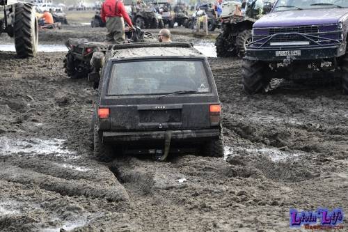 My Muddy Valentine at PlantBamboo 02-16-2019 0879 