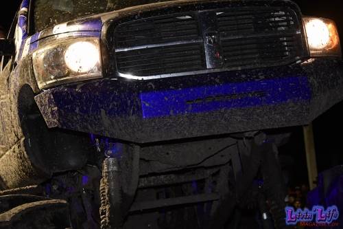 My Muddy Valentine at PlantBamboo 02-16-2019 1106 