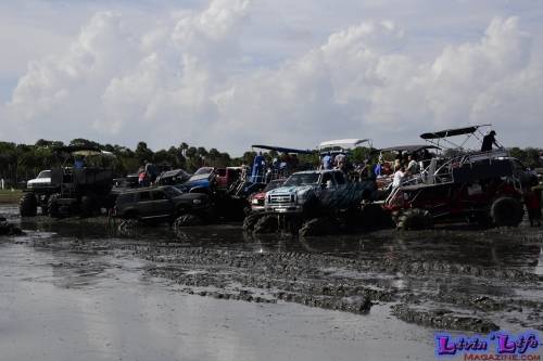 TGW Muddy Valentine at Plantbamboo 2020