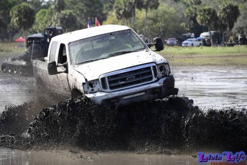 TGW Muddy Valentine at Plantbamboo 2020