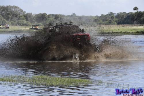 TGW Muddy Valentine at Plantbamboo 2020