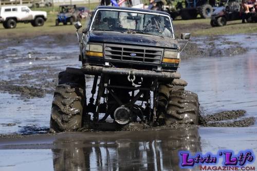 TGW Muddy Valentine at Plantbamboo 2020
