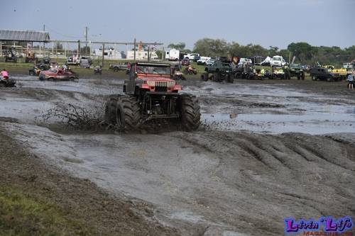 TGW Muddy Valentine at Plantbamboo 2020