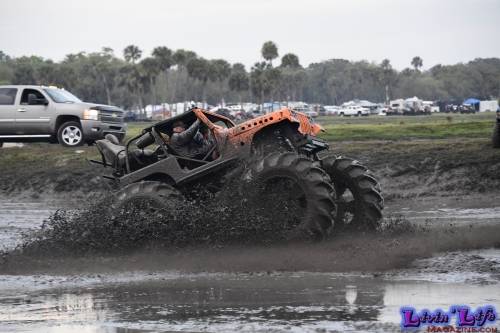 TGW Muddy Valentine at Plantbamboo 2020