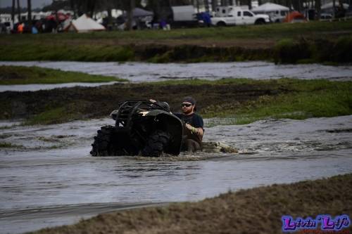 TGW Muddy Valentine at Plantbamboo 2020