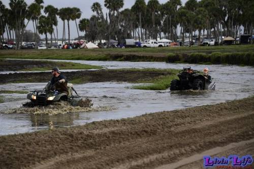 TGW Muddy Valentine at Plantbamboo 2020