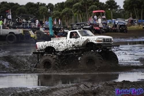 TGW Muddy Valentine at Plantbamboo 2020