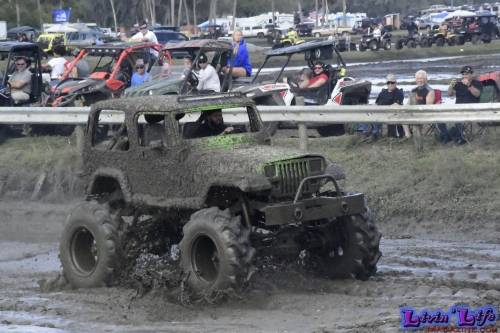 TGW Muddy Valentine at Plantbamboo 2020