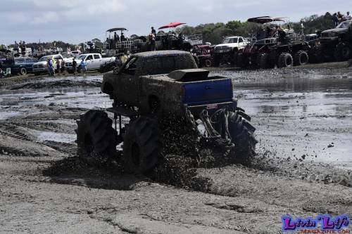 TGW Muddy Valentine at Plantbamboo 2020