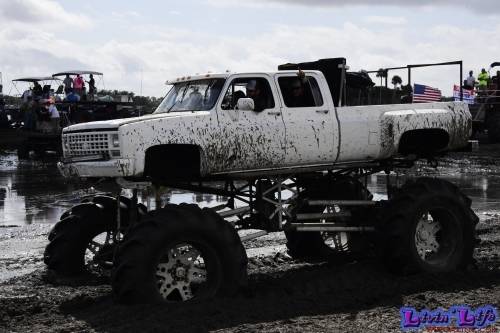 TGW Muddy Valentine at Plantbamboo 2020