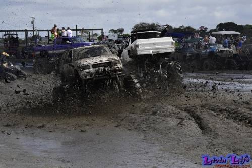 TGW Muddy Valentine at Plantbamboo 2020